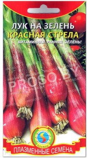 Лук на зелень Красная стрела