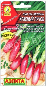 Лук на зелень Красный пучок