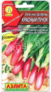 Лук на зелень Красный пучок