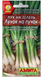 Лук на зелень Лучок на пучок