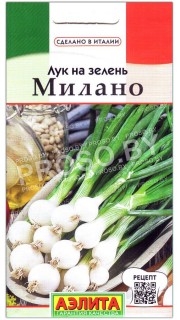 Лук на зелень Милано