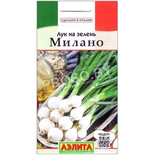 Лук на зелень Милано