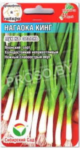Лук на зелень Нагаока кинг