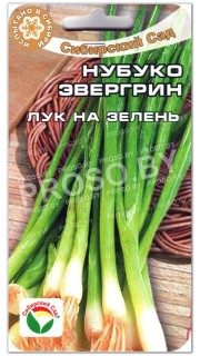 Лук на зелень Нубуко Эвергрин
