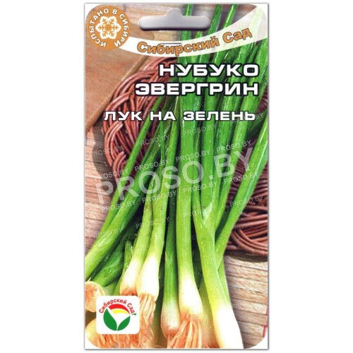 Лук на зелень Нубуко Эвергрин