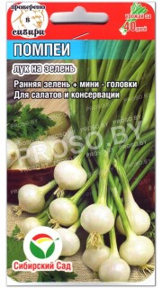 Лук на зелень Помпеи