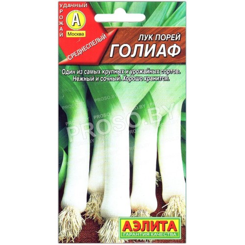 Лук порей Голиаф