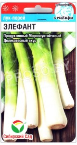 Лук порей Элефант