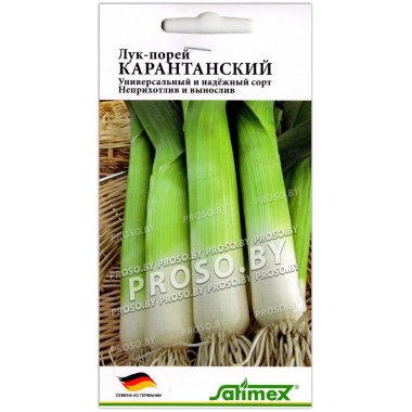 Лук порей Карантанский