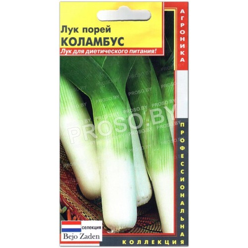 Лук порей Коламбус-1