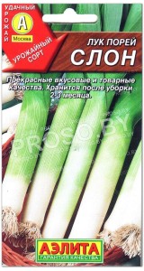 Лук порей Слон