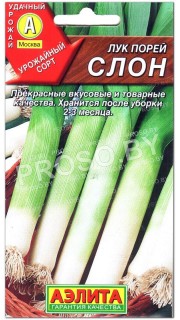 Лук порей Слон