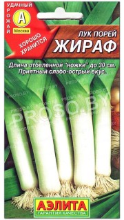 Лук порей Жираф