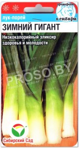 Лук порей Зимний гигант