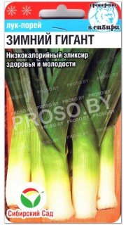 Лук порей Зимний гигант
