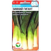 Лук порей Зимний гигант