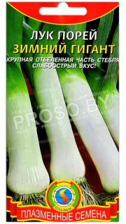Лук порей Зимний гигант