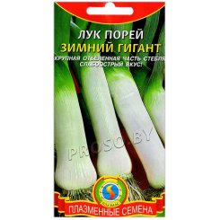 Лук порей Зимний гигант