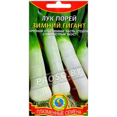 Лук порей Зимний гигант