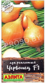 Лук репчатый Червонец F1