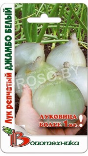 Лук репчатый Джамбо белый
