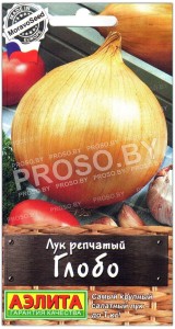 Лук репчатый Глобо