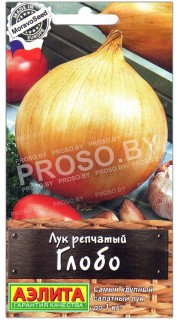 Лук репчатый Глобо