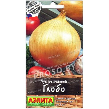 Лук репчатый Глобо