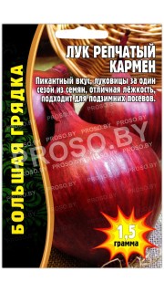 Лук репчатый Кармен