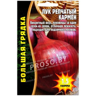 Лук репчатый Кармен