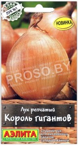 Лук репчатый Король гигантов