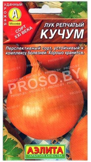 Лук репчатый Кучум