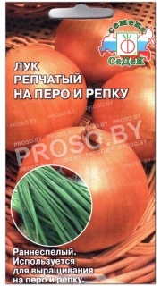 Лук репчатый На перо и репку