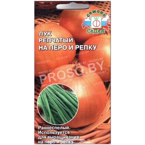Лук репчатый На перо и репку