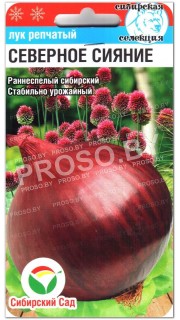 Лук репчатый Северное сияние