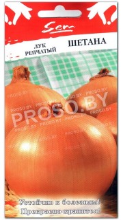Лук репчатый Шетана