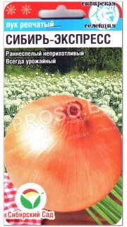 Лук репчатый Сибирь-экспресс