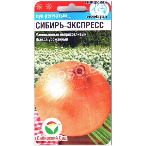 Лук репчатый Сибирь-экспресс