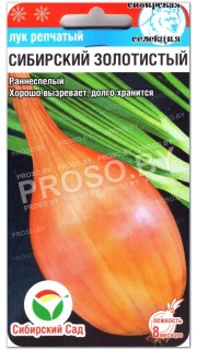 Лук репчатый Сибирский золотистый
