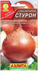 Лук репчатый Стурон