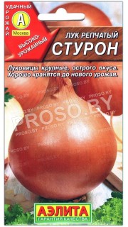 Лук репчатый Стурон