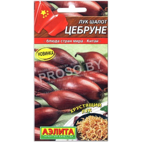 Лук шалот Цебруне