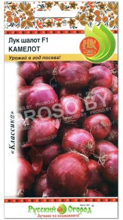 Лук шалот Камелот F1