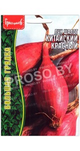 Лук шалот Китайский красный