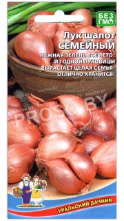 Лук шалот Семейный