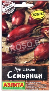 Лук шалот Семьянин