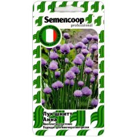 Лук шнитт Анна