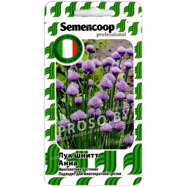 Лук шнитт Анна