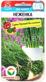 Лук шнитт Неженка