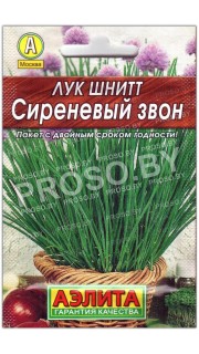 Лук шнитт Сиреневый звон